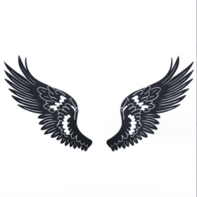Angel Wings Acrylic Artware Hollow Decorations (Option: YG01CB3-45x17CM)